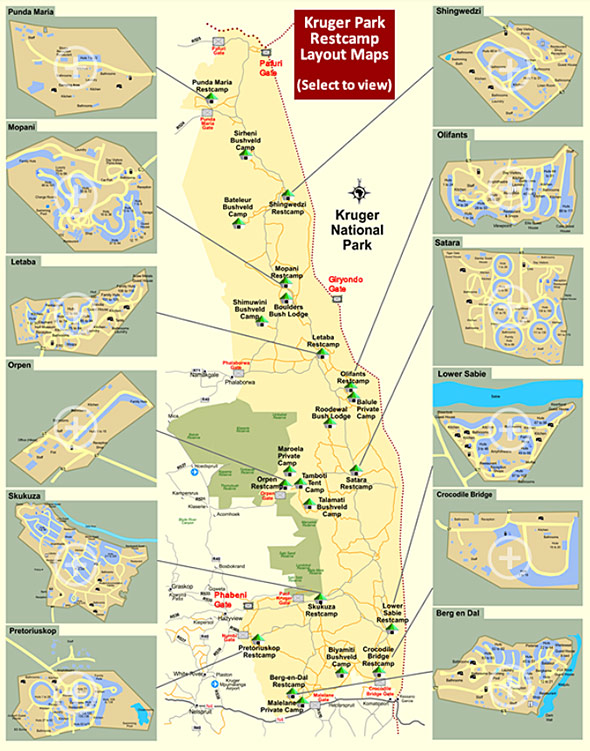 Cartes Et Maps Parc Kruger Safari Afrique Du Sud